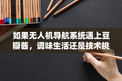 如果无人机导航系统遇上豆瓣酱，调味生活还是技术挑战？