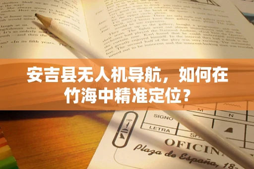 安吉县无人机导航，如何在竹海中精准定位？