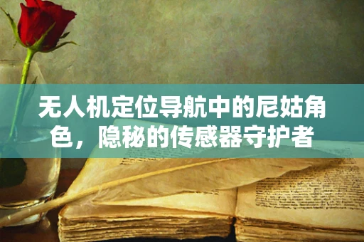 无人机定位导航中的尼姑角色，隐秘的传感器守护者