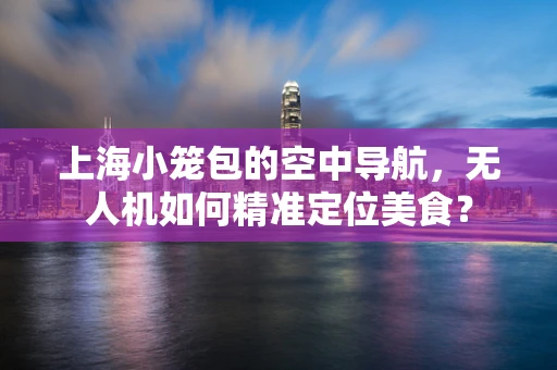 上海小笼包的空中导航，无人机如何精准定位美食？