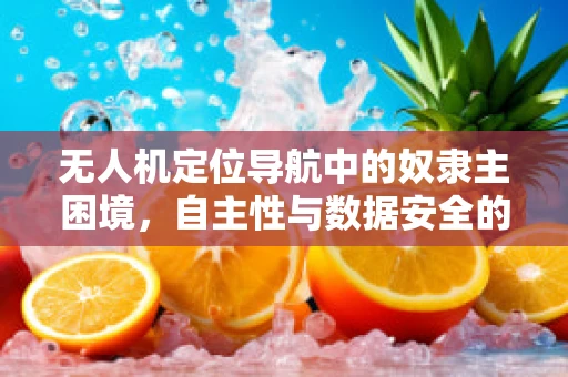 无人机定位导航中的奴隶主困境，自主性与数据安全的平衡
