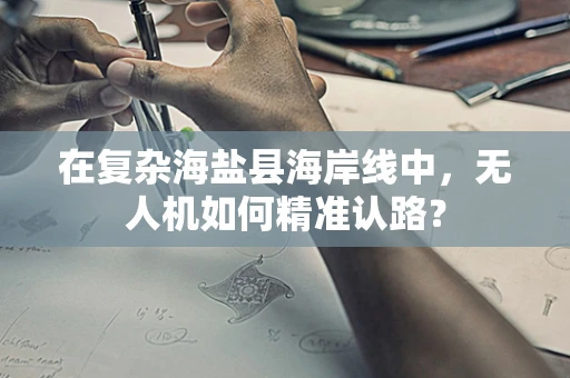 在复杂海盐县海岸线中，无人机如何精准认路？