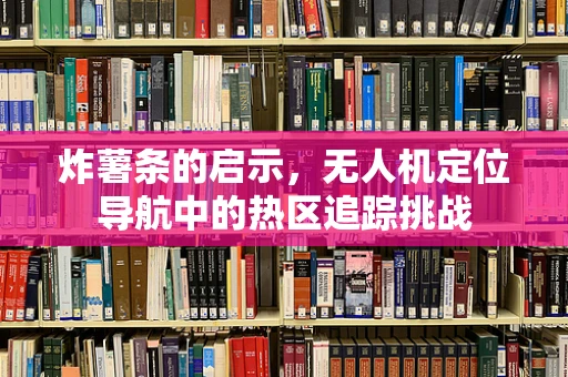 炸薯条的启示，无人机定位导航中的热区追踪挑战