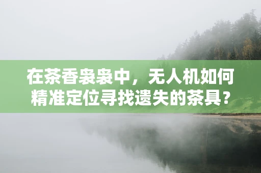 在茶香袅袅中，无人机如何精准定位寻找遗失的茶具？