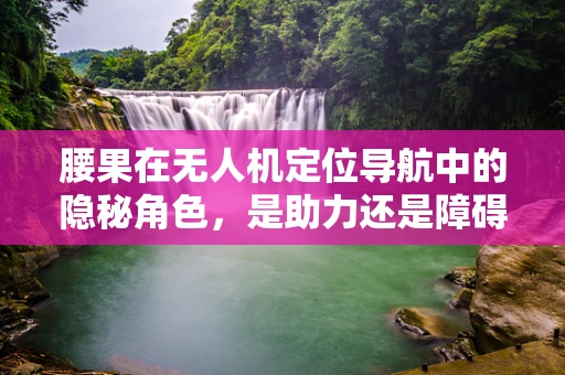 腰果在无人机定位导航中的隐秘角色，是助力还是障碍？