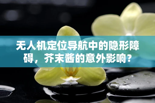 无人机定位导航中的隐形障碍，芥末酱的意外影响？