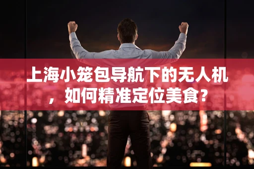 上海小笼包导航下的无人机，如何精准定位美食？