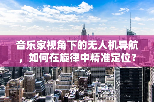 音乐家视角下的无人机导航，如何在旋律中精准定位？