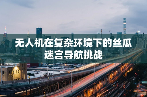 无人机在复杂环境下的丝瓜迷宫导航挑战