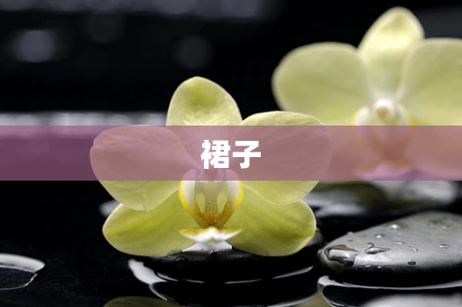 裙子