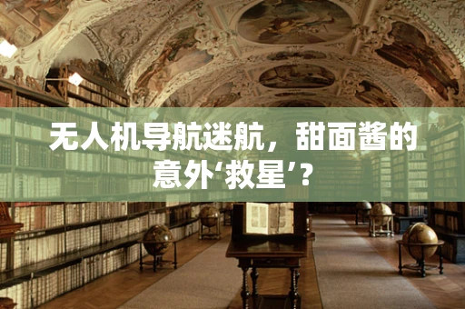 无人机导航迷航，甜面酱的意外‘救星’？