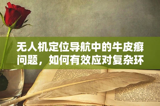 无人机定位导航中的牛皮癣问题，如何有效应对复杂环境下的信号干扰？