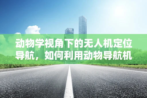 动物学视角下的无人机定位导航，如何利用动物导航机制提升无人机性能？