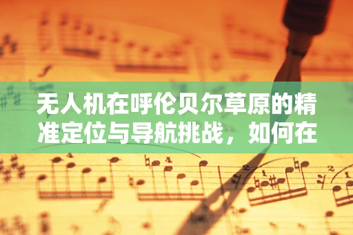 无人机在呼伦贝尔草原的精准定位与导航挑战，如何在广袤无垠中锁定目标？