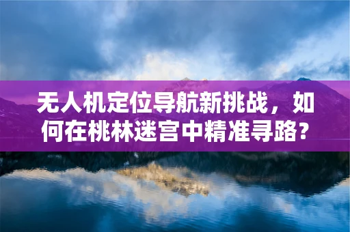 无人机定位导航新挑战，如何在桃林迷宫中精准寻路？