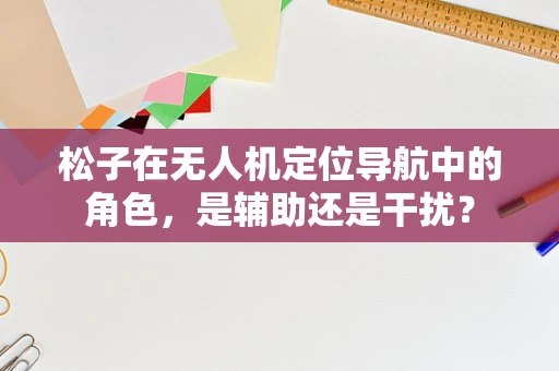松子在无人机定位导航中的角色，是辅助还是干扰？