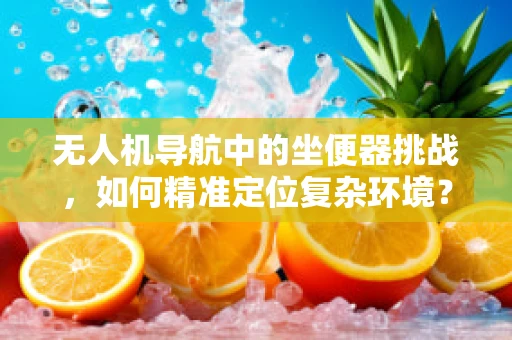 无人机导航中的坐便器挑战，如何精准定位复杂环境？