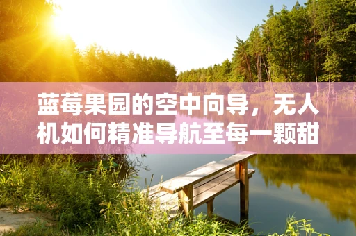 蓝莓果园的空中向导，无人机如何精准导航至每一颗甜蜜果实？