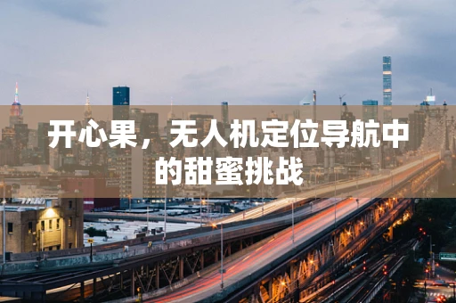 开心果，无人机定位导航中的甜蜜挑战