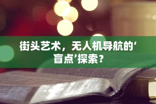 街头艺术，无人机导航的‘盲点’探索？