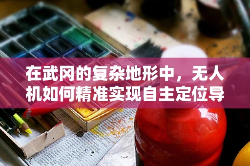 在武冈的复杂地形中，无人机如何精准实现自主定位导航？