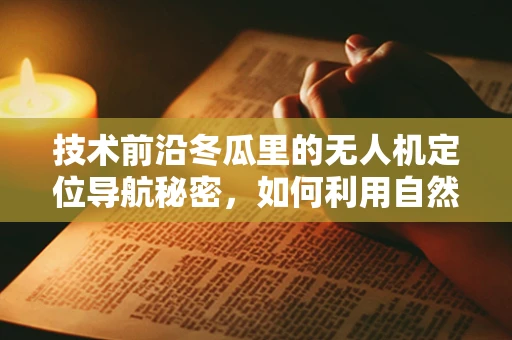 技术前沿冬瓜里的无人机定位导航秘密，如何利用自然地标提升精度？