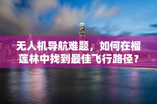 无人机导航难题，如何在榴莲林中找到最佳飞行路径？