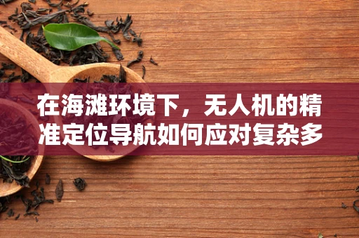 在海滩环境下，无人机的精准定位导航如何应对复杂多变的海风与海浪挑战？
