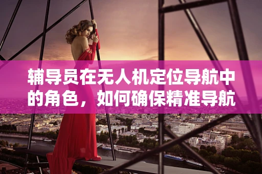 辅导员在无人机定位导航中的角色，如何确保精准导航的导航员？