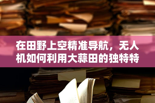 在田野上空精准导航，无人机如何利用大蒜田的独特特征实现精准定位？