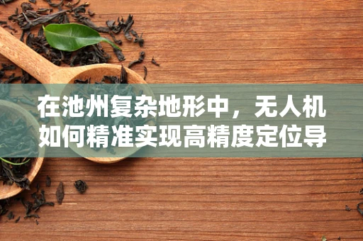 在池州复杂地形中，无人机如何精准实现高精度定位导航？