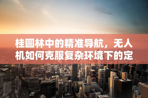 桂圆林中的精准导航，无人机如何克服复杂环境下的定位挑战？