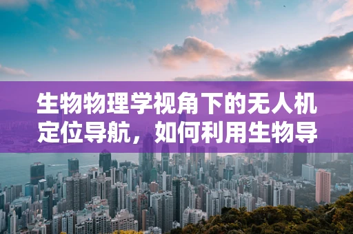 生物物理学视角下的无人机定位导航，如何利用生物导航机制提升精度？