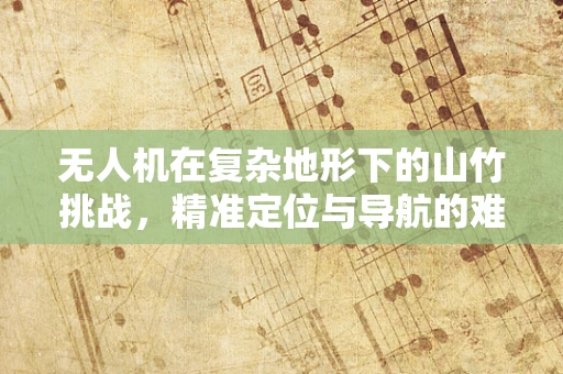 无人机在复杂地形下的山竹挑战，精准定位与导航的难题