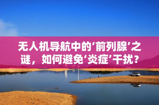无人机导航中的‘前列腺’之谜，如何避免‘炎症’干扰？