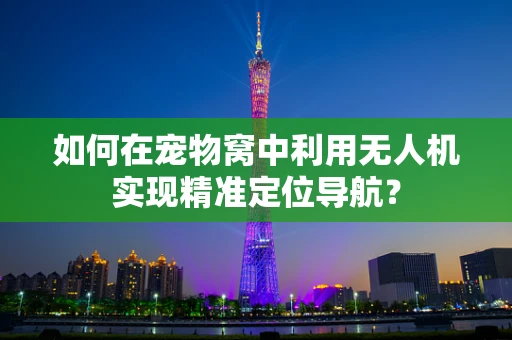 如何在宠物窝中利用无人机实现精准定位导航？