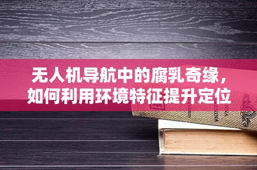 无人机导航中的腐乳奇缘，如何利用环境特征提升定位精度？