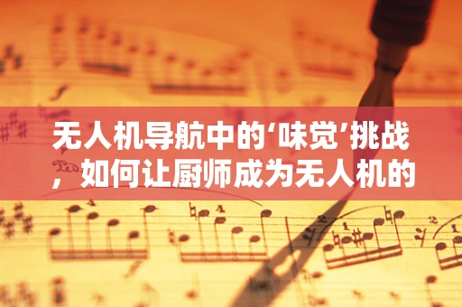 无人机导航中的‘味觉’挑战，如何让厨师成为无人机的隐形导航员？