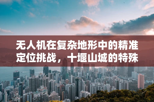 无人机在复杂地形中的精准定位挑战，十堰山城的特殊需求