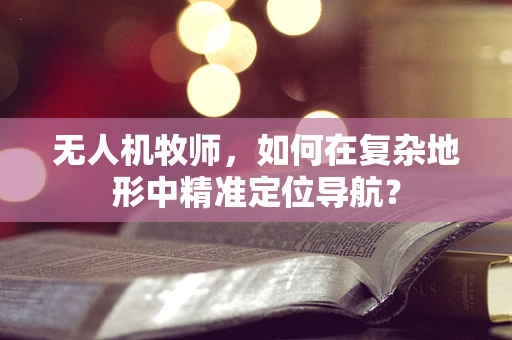 无人机牧师，如何在复杂地形中精准定位导航？