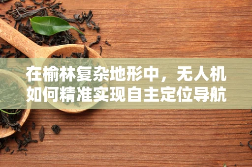 在榆林复杂地形中，无人机如何精准实现自主定位导航？
