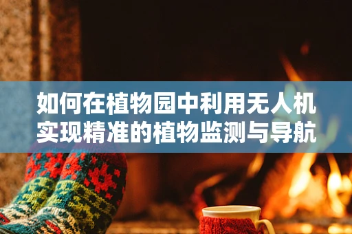 如何在植物园中利用无人机实现精准的植物监测与导航？