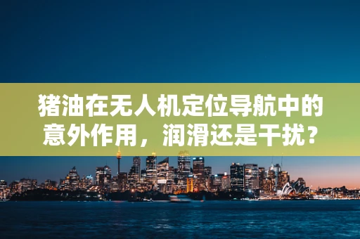 猪油在无人机定位导航中的意外作用，润滑还是干扰？