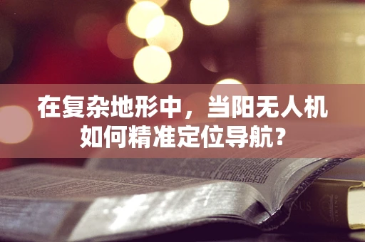 在复杂地形中，当阳无人机如何精准定位导航？