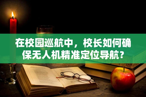 在校园巡航中，校长如何确保无人机精准定位导航？