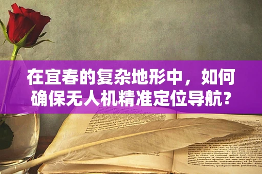 在宜春的复杂地形中，如何确保无人机精准定位导航？