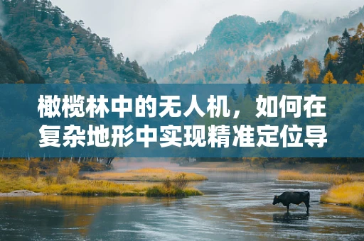 橄榄林中的无人机，如何在复杂地形中实现精准定位导航？