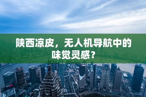 陕西凉皮，无人机导航中的味觉灵感？
