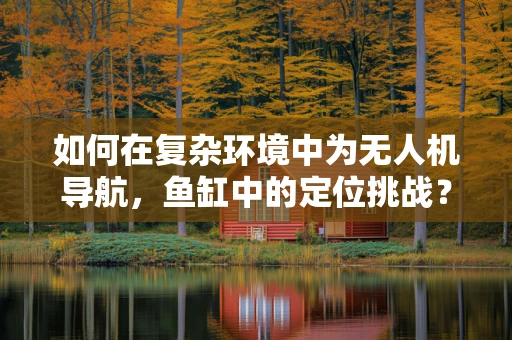 如何在复杂环境中为无人机导航，鱼缸中的定位挑战？