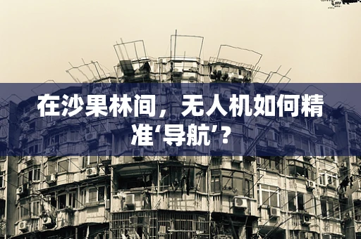 在沙果林间，无人机如何精准‘导航’？
